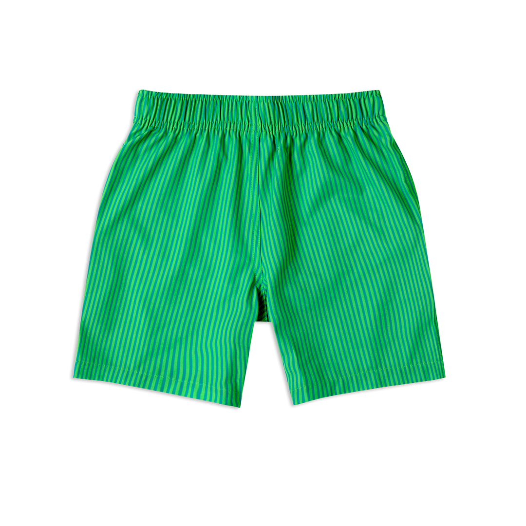 Boys Stretch Swim Gulf Stripe back