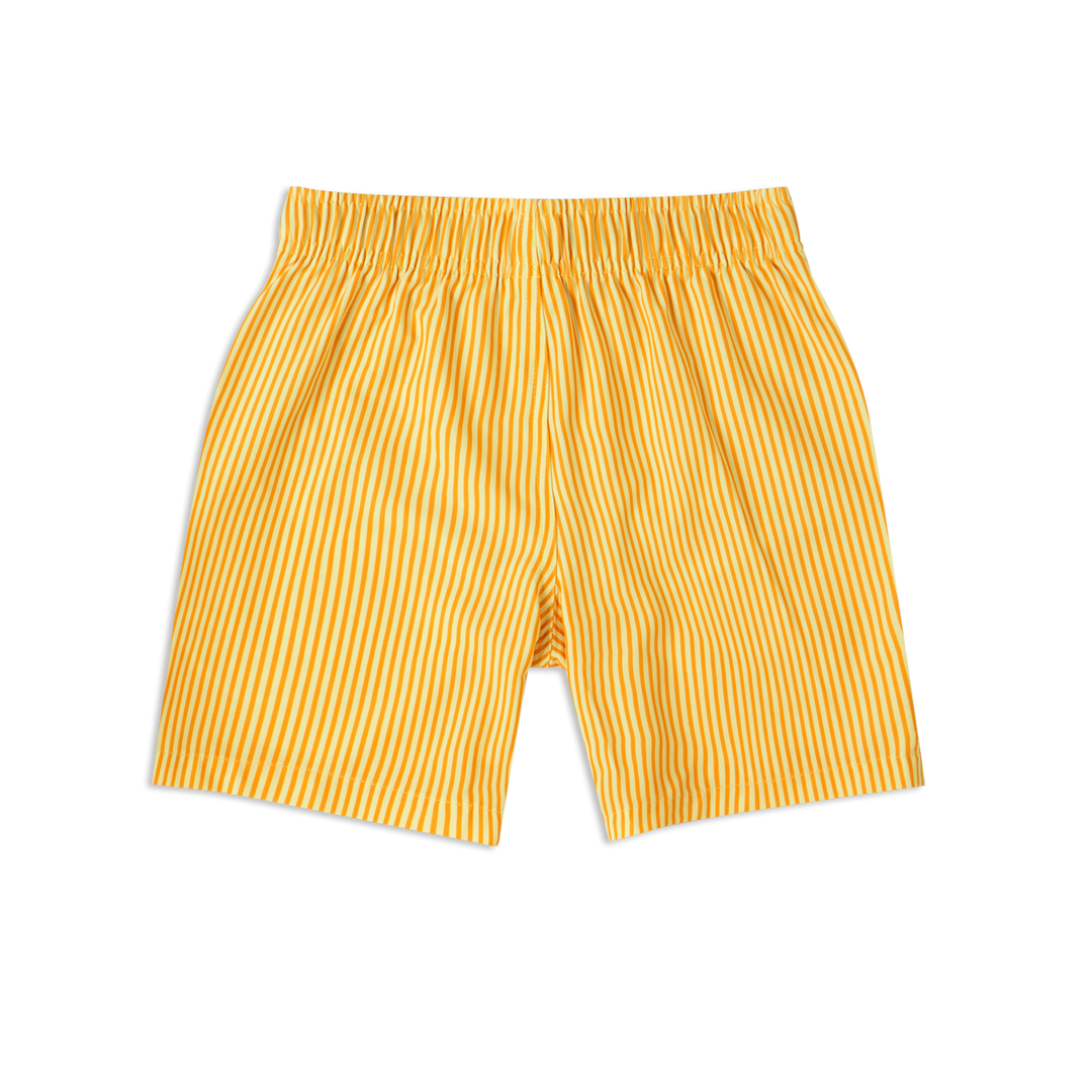 Boys Stretch Swim Sunny Stripe back