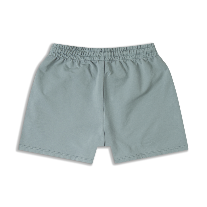 Lounge Short 5.5" Shark Grey back