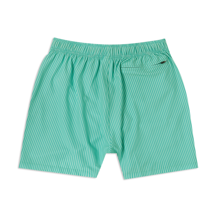 Stretch Swim 5.5" Sea Stripe back