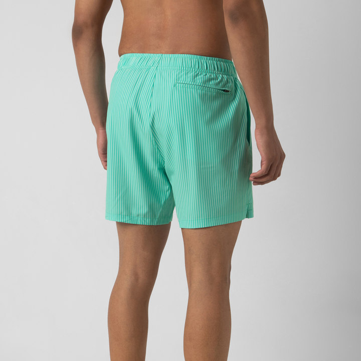 Stretch Swim 5.5" Sea Stripe back on model